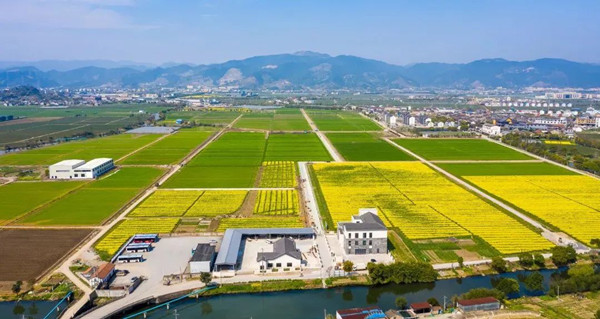 C_副本.jpg C_副本.jpg